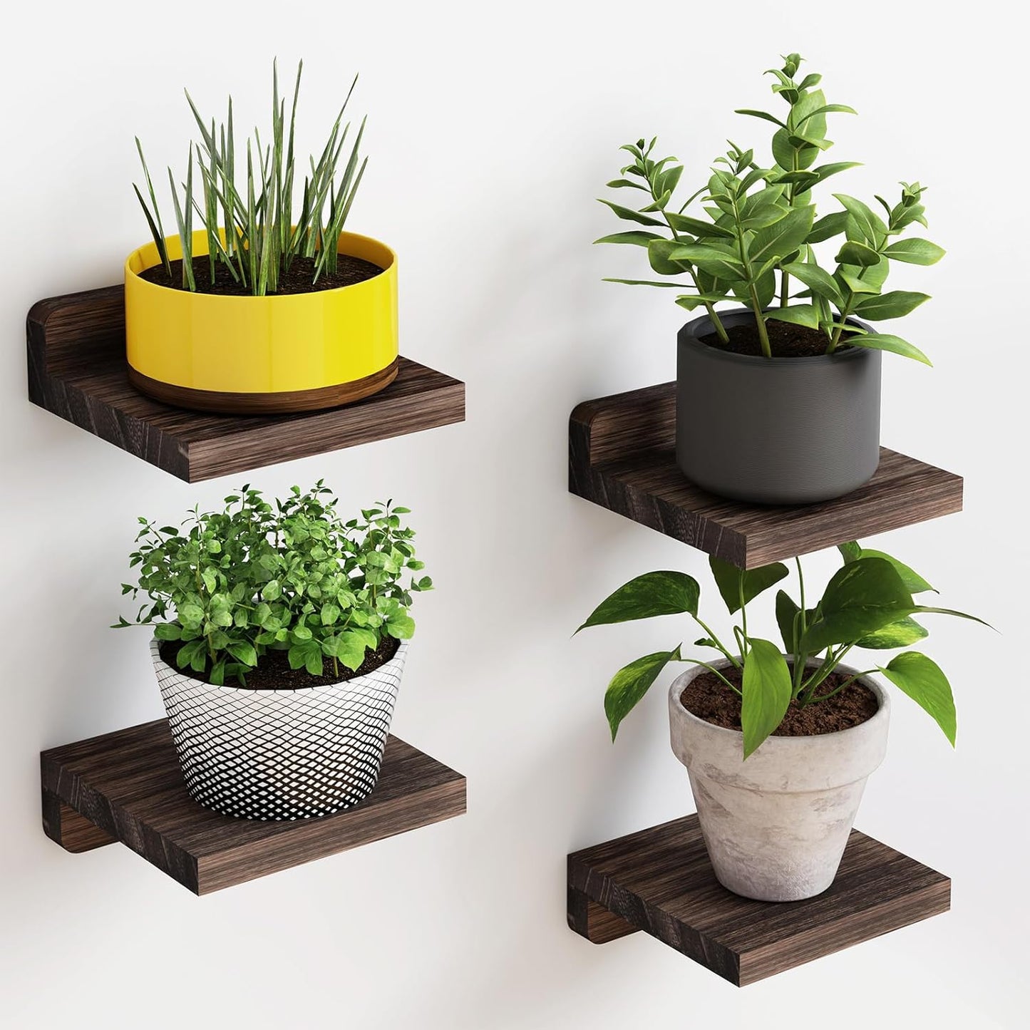 Small Floating Shelves | Set of 4 Rustic Wall Shelves for Home Decor